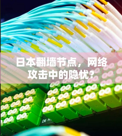 日本翻墙节点,网络攻击中的隐忧? 日本翻墙节点,网络攻击中的隐忧?