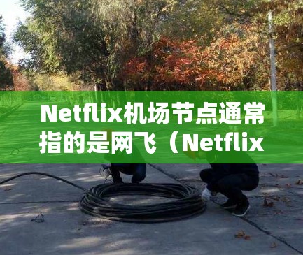 Netflix机场节点通常指的是网飞（Netflix）在机场或其他公共设施上的服务节点位置。这些节点可能包括电影、游戏、音乐、视频等类别的推荐列表或资源列表。网飞在机场上的服务可能涉及以下几种类型