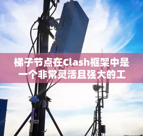 梯子节点在Clash框架中是一个非常灵活且强大的工具，用于将节点分配到不同的层级。以下是对梯子节点的详细说明，涵盖其主要参数及其使用场景
