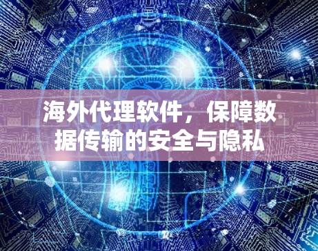 海外代理软件，保障数据传输的安全与隐私