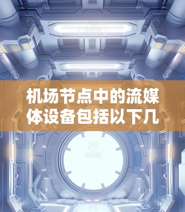 机场节点中的流媒体设备包括以下几个关键部分