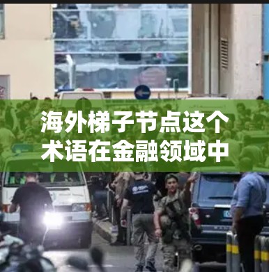 海外梯子节点这个术语在金融领域中可能有特定的含义，但具体含义需要根据上下文来确定。以下是一些可能的解释