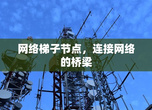 网络梯子节点，连接网络的桥梁