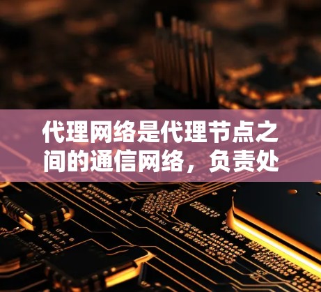 代理网络是代理节点之间的通信网络，负责处理不同代理服务之间的数据传输和通信。以下是对代理网络的详细总结