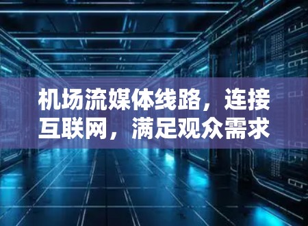机场流媒体线路,连接互联网,满足观众需求 机场流媒体线路,连接互联网,满足观众需求