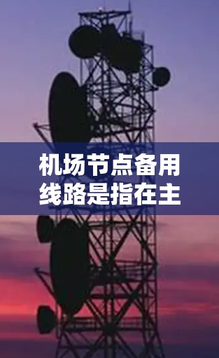 机场节点备用线路是指在主干道（如机场主道、高架桥、桥梁等）上可能遇到故障或需要备用的线路。这些备用线路通常是为了弥补主干道的维护需求或故障，确保机场的正常运营