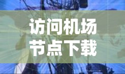 访问机场节点下载Netflix的具体步骤如下