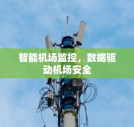 智能机场监控,数据驱动机场安全 智能机场监控,数据驱动机场安全