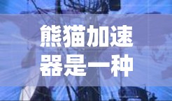 熊猫加速器是一种可能用于提升速度的技术装置，具体含义和应用取决于上下文。以下是对熊猫加速器的详细总结