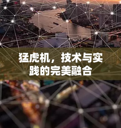 猛虎机，技术与实践的完美融合