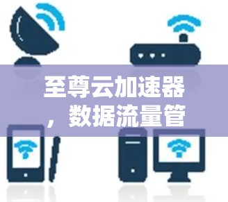 至尊云加速器，数据流量管理的专家