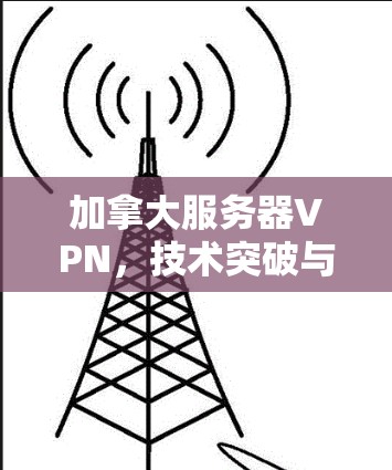 加拿大服务器VPN，技术突破与未来发展