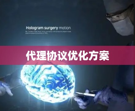 代理协议优化方案 代理协议优化方案