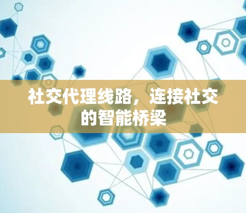 社交代理线路,连接社交的智能桥梁 社交代理线路,连接社交的智能桥梁