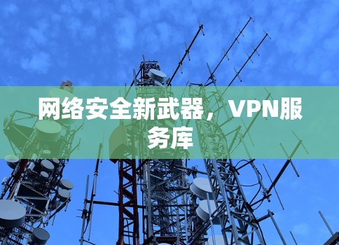 网络安全新武器,VPN服务库 网络安全新武器,VPN服务库