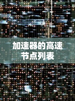 加速器的高速节点列表
