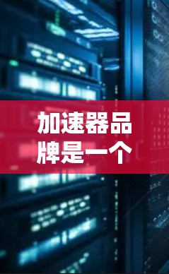 加速器品牌是一个重要的方面，因为它直接影响到加速性能。以下是几个常见的加速器品牌及其特点