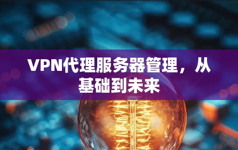 VPN代理服务器管理，从基础到未来