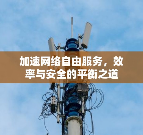 加速网络自由服务,效率与安全的平衡之道 加速网络自由服务,效率与安全的平衡之道