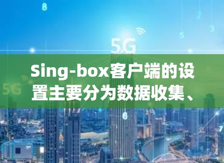 Sing-box客户端的设置主要分为数据收集、过滤和分析三个主要部分。以下是 Sing-box客户端的设置步骤和常用选项 Sing-box客户端的设置主要分为数据收集、过滤和分析三个主要部分。以下是 Sing-box客户端的设置步骤和常用选项