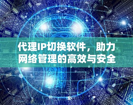 代理IP切换软件，助力网络管理的高效与安全
