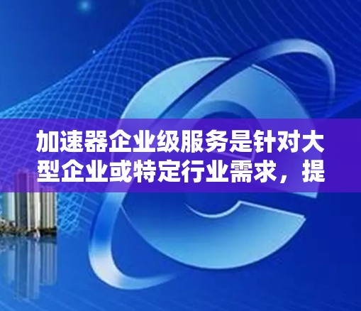 加速器企业级服务是针对大型企业或特定行业需求，提供高效、安全、高功能的工具和解决方案，帮助提升核心竞争力。以下是对此服务的详细分析