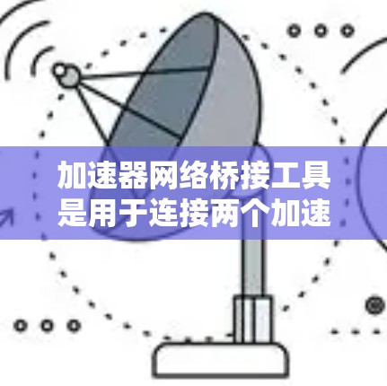 加速器网络桥接工具是用于连接两个加速器或加速器与网络设备的工具,旨在提升数据传输效率。以下是该工具的详细介绍 加速器网络桥接工具是用于连接两个加速器或加速器与网络设备的工具,旨在提升数据传输效率。以下是该工具的详细介绍