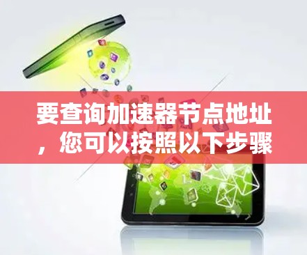 要查询加速器节点地址，您可以按照以下步骤操作