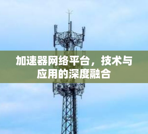 加速器网络平台，技术与应用的深度融合
