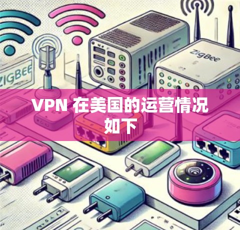 VPN 在美国的运营情况如下