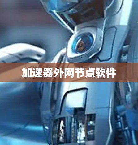 加速器外网节点软件