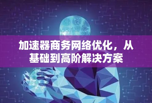 加速器商务网络优化，从基础到高阶解决方案