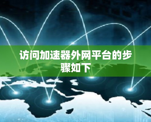 访问加速器外网平台的步骤如下