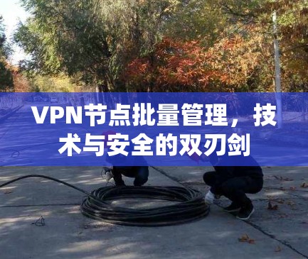 VPN节点批量管理，技术与安全的双刃剑