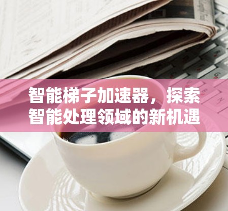 智能梯子加速器，探索智能处理领域的新机遇