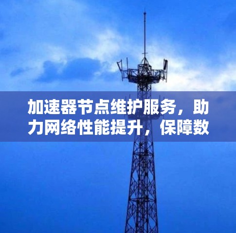 加速器节点维护服务，助力网络性能提升，保障数据传输安全