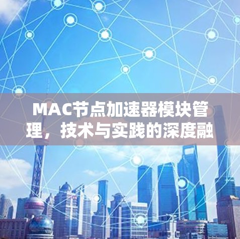 MAC节点加速器模块管理，技术与实践的深度融合