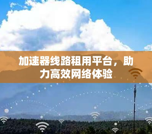 加速器线路租用平台，助力高效网络体验