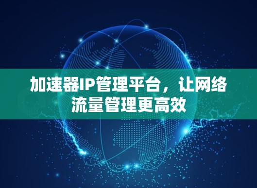 加速器IP管理平台，让网络流量管理更高效