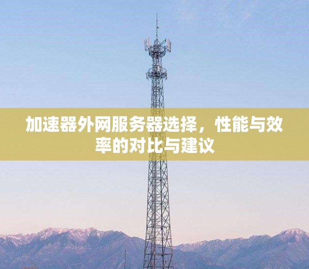 加速器外网服务器选择，性能与效率的对比与建议