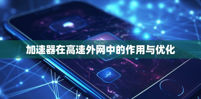 加速器在高速外网中的作用与优化