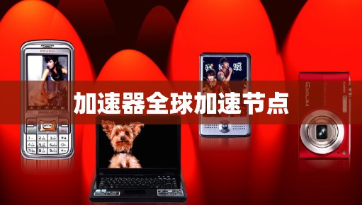 加速器全球加速节点