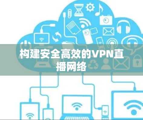 构建安全高效的VPN直播网络