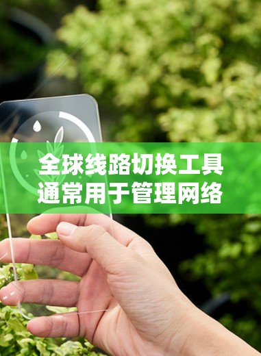 全球线路切换工具通常用于管理网络设备之间的连接和切换,以确保网络的稳定性和高效性。以下是一些可能涉及全球线路切换的工具及其功能 全球线路切换工具通常用于管理网络设备之间的连接和切换,以确保网络的稳定性和高效性。以下是一些可能涉及全球线路切换的工具及其功能