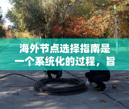 海外节点选择指南是一个系统化的过程，旨在为海外公司或机构选择最适合的运营地点。以下是对这一指南的详细分析和建议