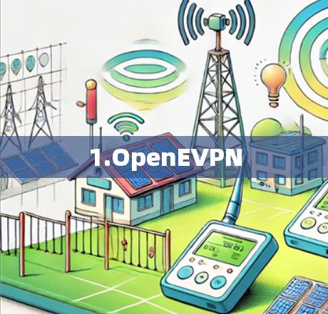 1.OpenEVPN