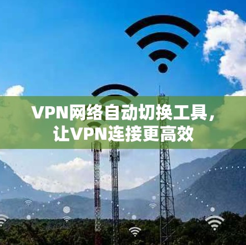 VPN网络自动切换工具，让VPN连接更高效
