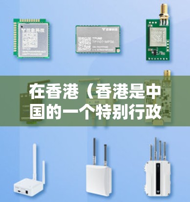 在香港（香港是中国的一个特别行政区，法律和文化与内地相似）某些地区可能会允许VPN服务的使用，但需要注意以下几点
