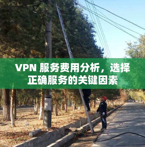 VPN 服务费用分析，选择正确服务的关键因素