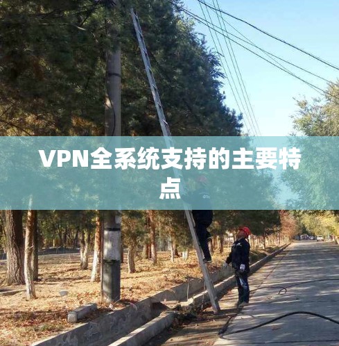 VPN全系统支持的主要特点